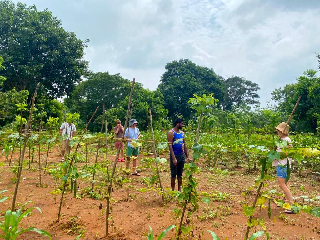Moni Farm House Wilpattu Nochchiyagama Экстерьер фото