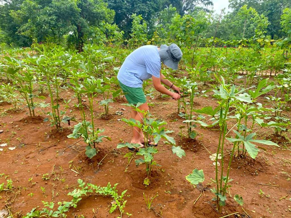 Moni Farm House Wilpattu Nochchiyagama Экстерьер фото