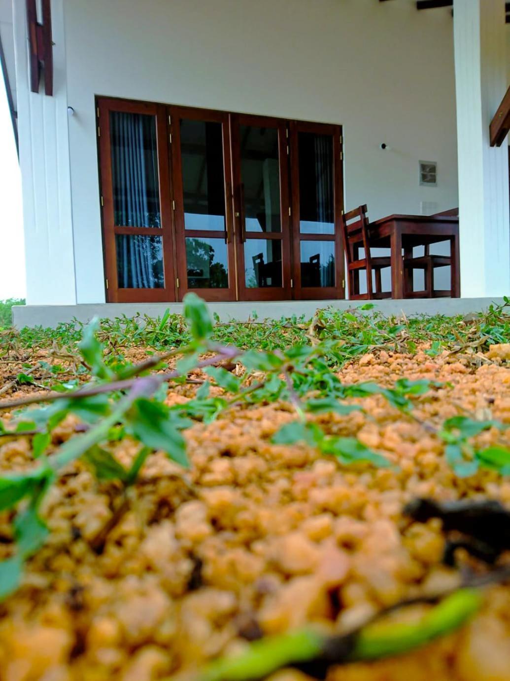 Moni Farm House Wilpattu Nochchiyagama Экстерьер фото